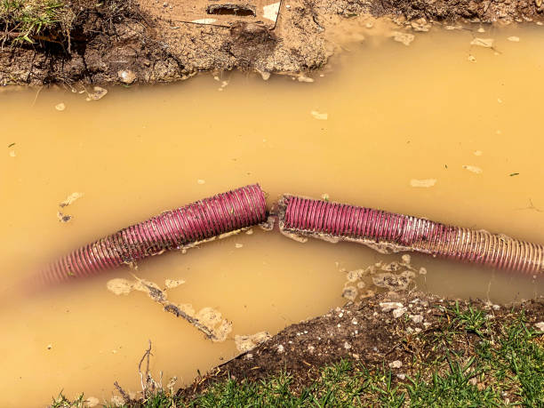 Cairo, IL Water damage restoration Company